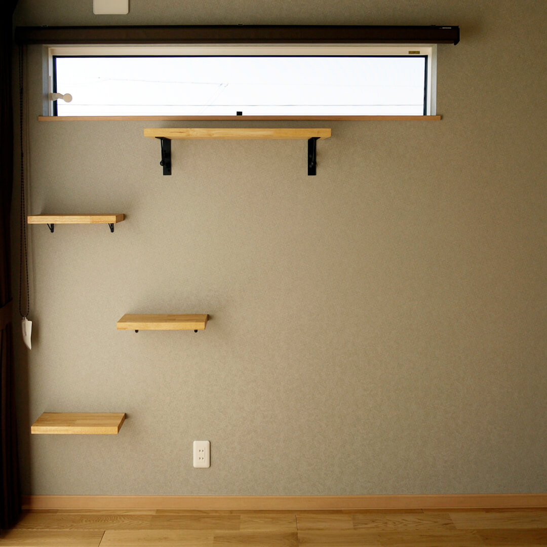 ねこ　猫　ネコ